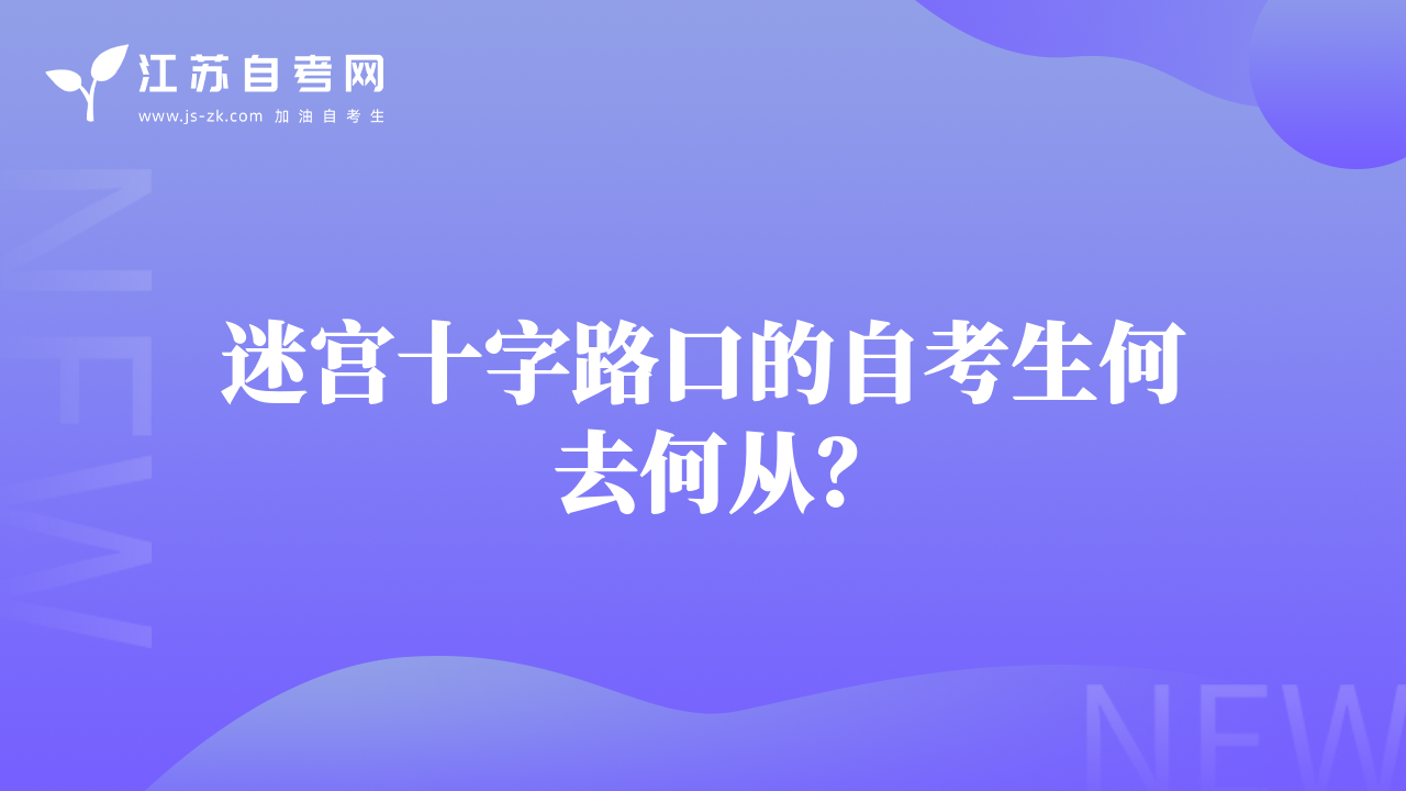 迷宮十字路口的自考生何去何從？