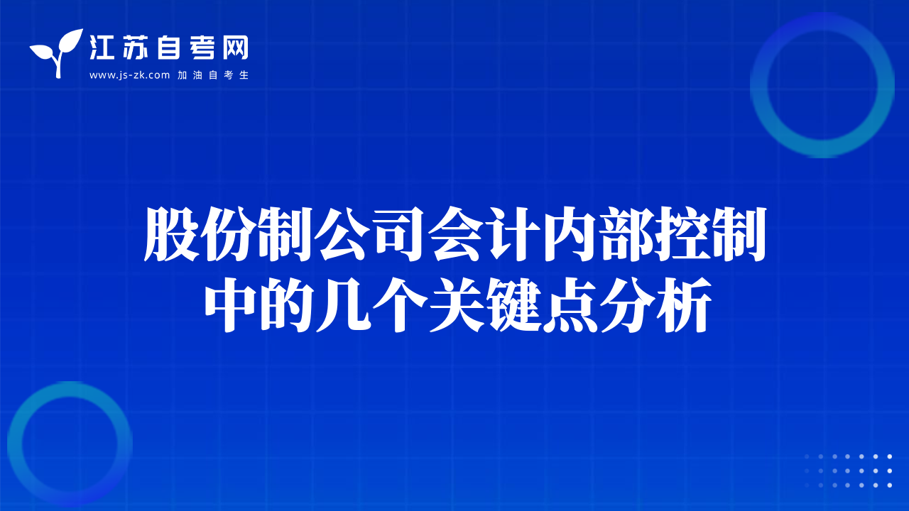 股份制公司會(huì)計(jì)內(nèi)部控制中的幾個(gè)關(guān)鍵點(diǎn)分析