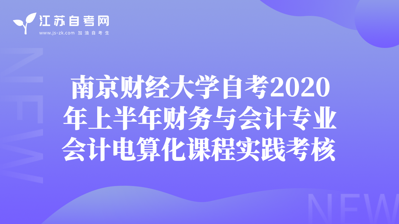南京財(cái)經(jīng)大學(xué)自考2020年上半年財(cái)務(wù)與會(huì)計(jì)專業(yè)會(huì)計(jì)電算化課程實(shí)踐考核