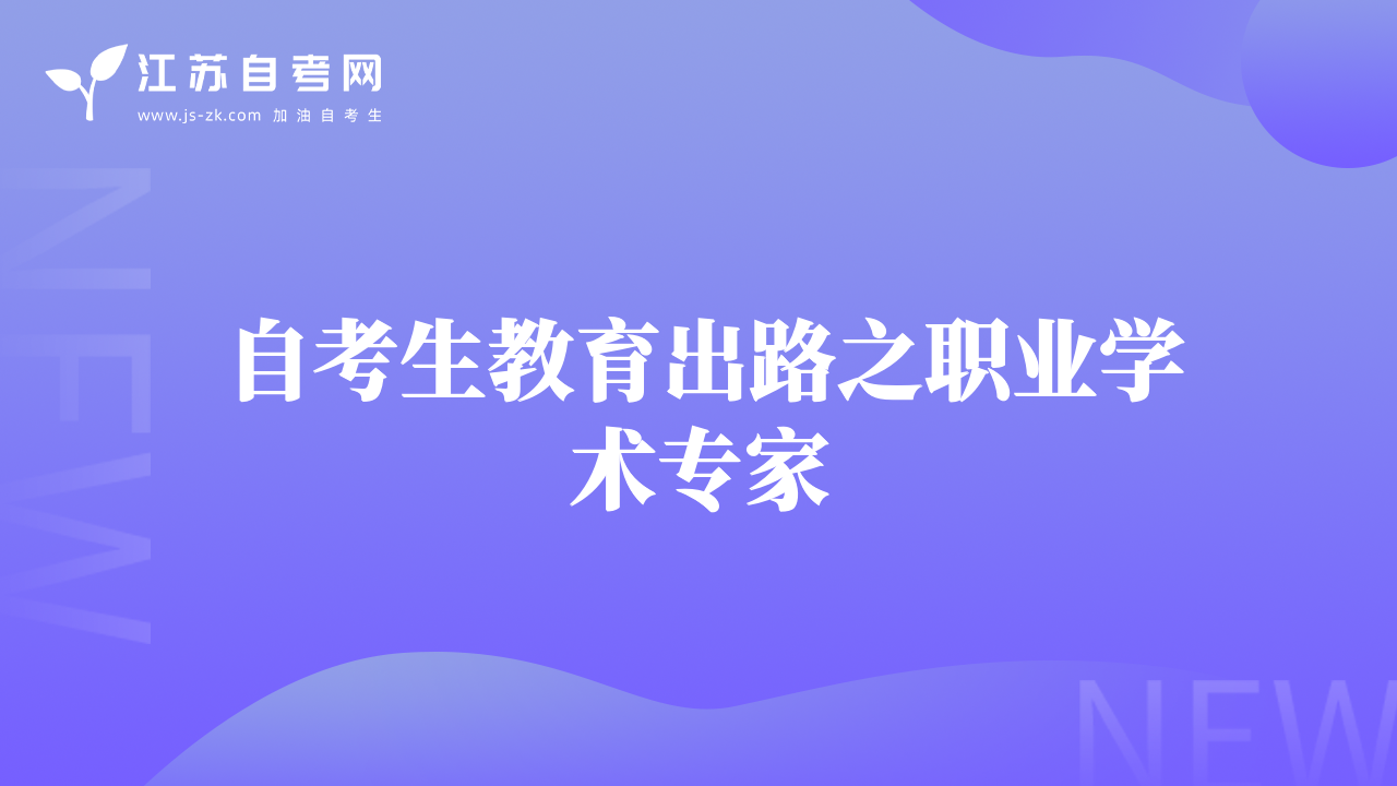 自考生教育出路之職業(yè)學術專家